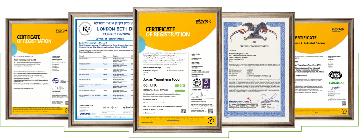 Pellets de Pur&eacute; de Ajo 100% Fresco Congelado