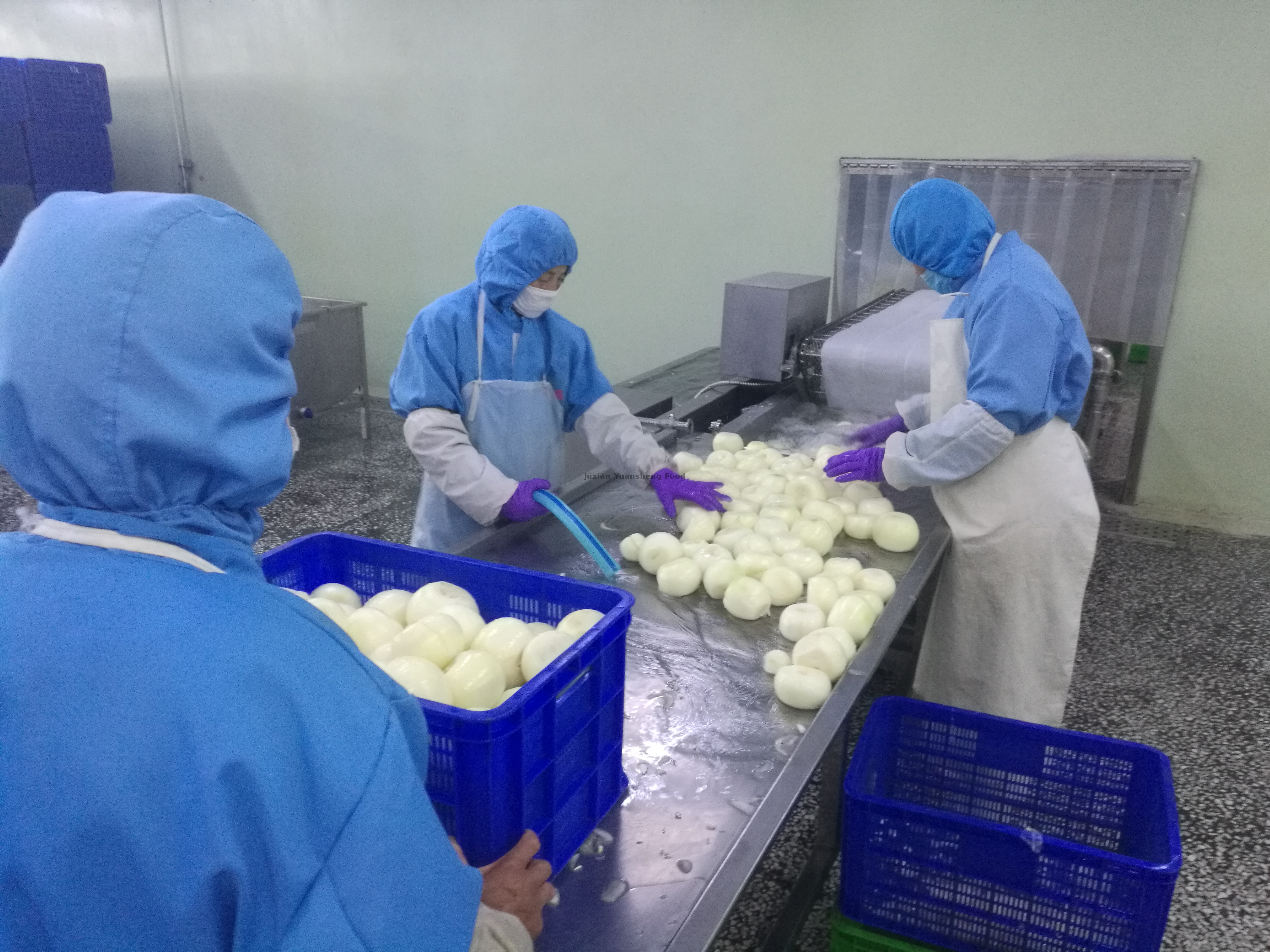 10, 原料工作台清洗挑选