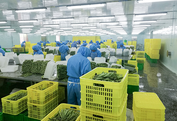 4_0000_粗加工-Producci&oacute;n aproximada