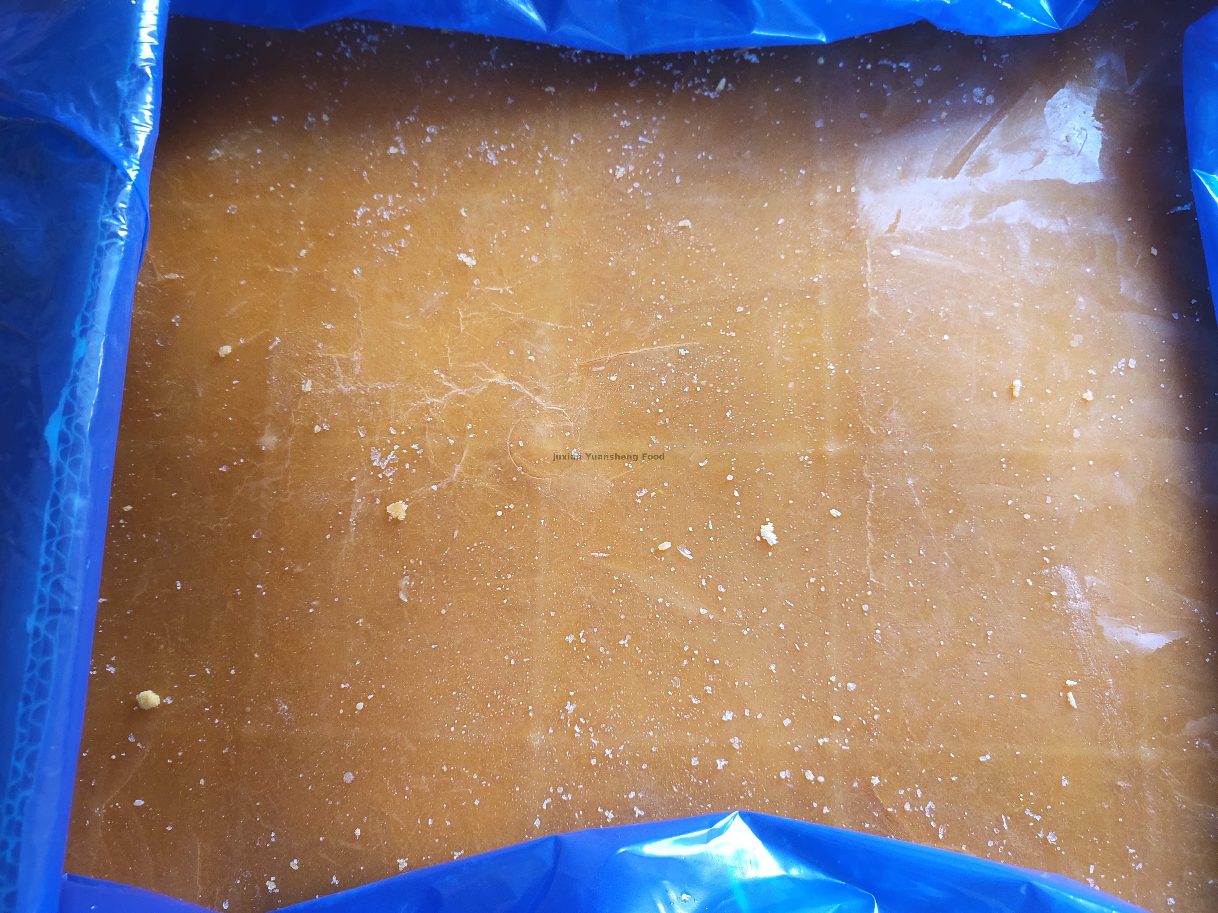 calabaza 2 (7) - 副本