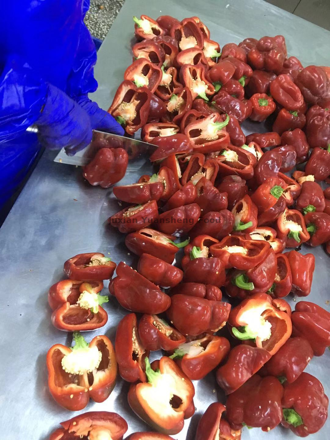 Dados de pimiento rojo congelados a granel 