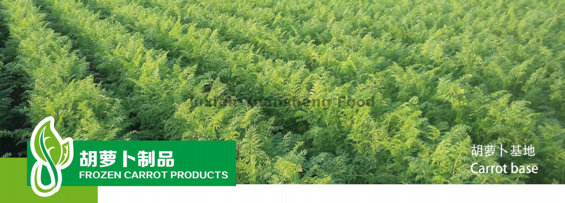 base de zanahoria