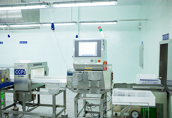 Pellets de Pur&eacute; de Ajo 100% Fresco Congelado